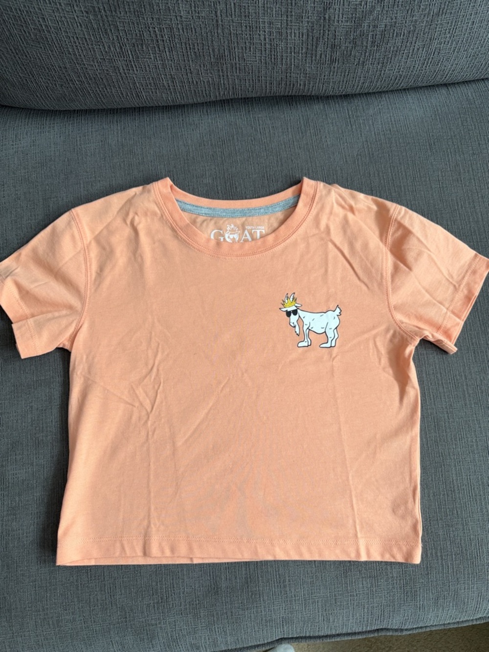 GOAT Kids' Peach Short-Sleeve Graphic Tee CROPPED girls youth large
